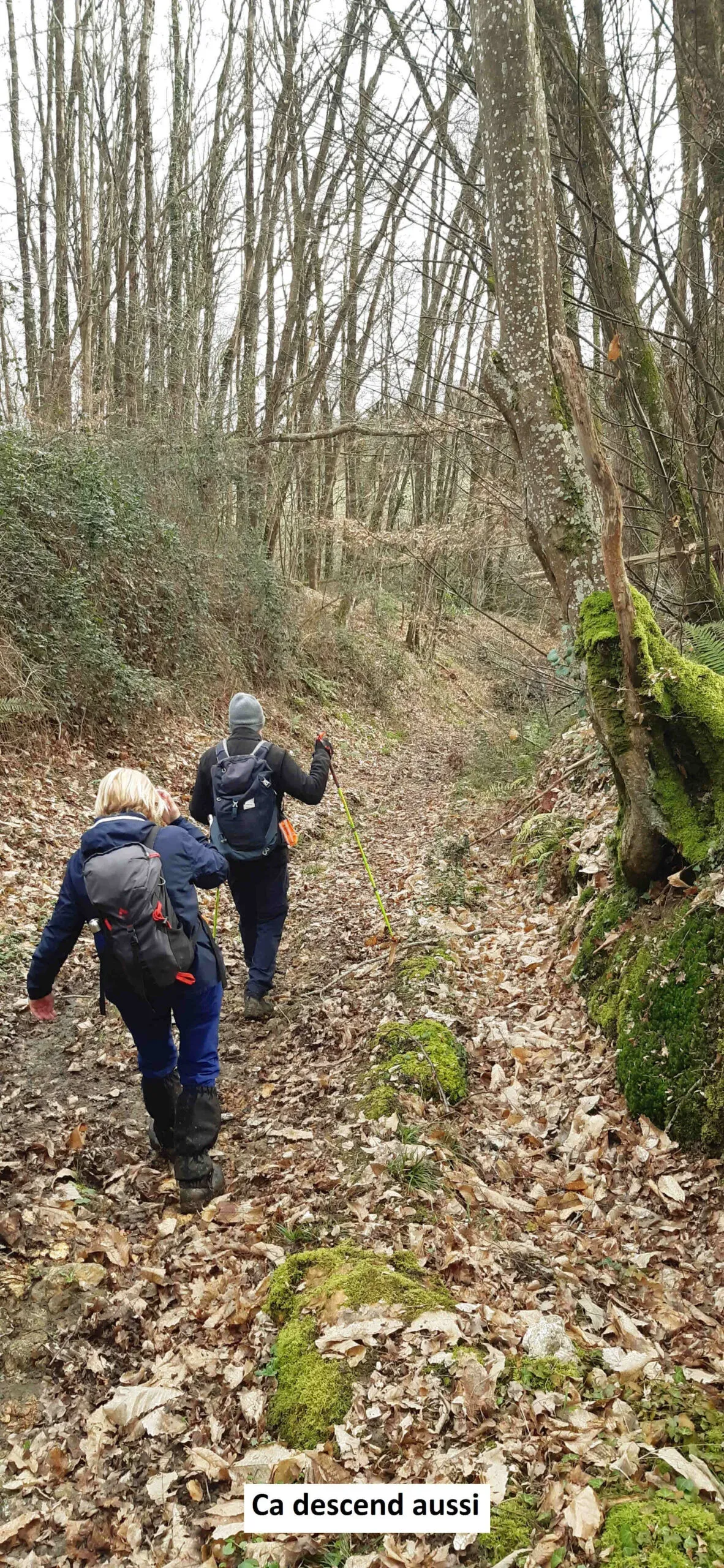 Rando&rsquo; dans la Forêt de Bercé