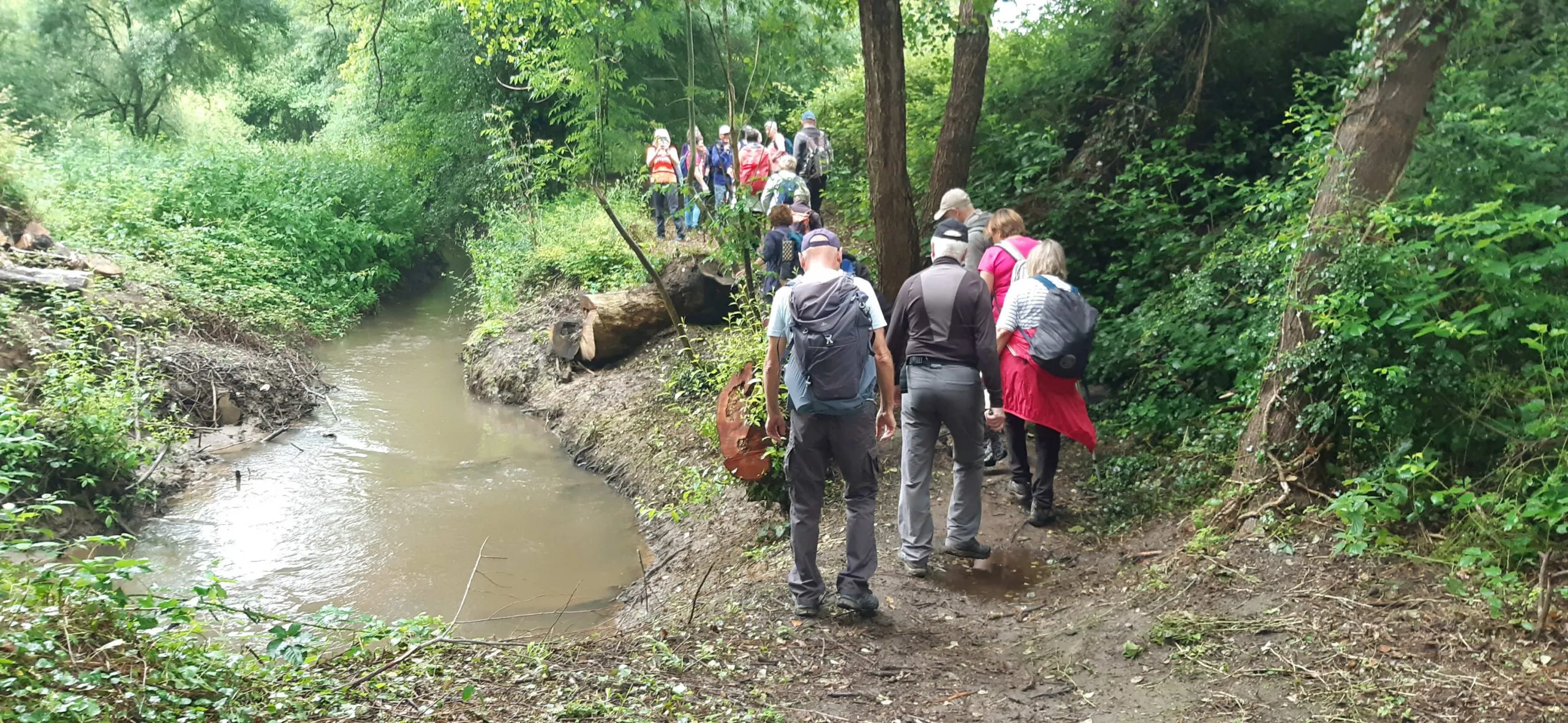 Rando&rsquo; à Saint-Georges-du-Bois