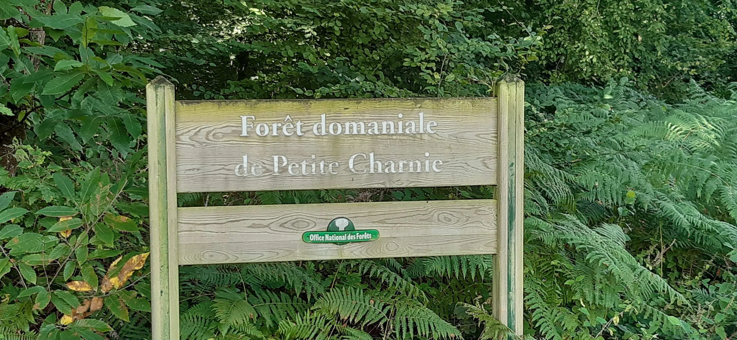 Rando&rsquo; à Chemiré-en-Charnie