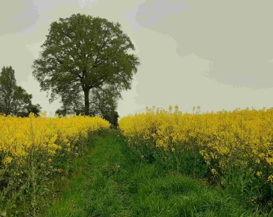 Un dimanche à Nogent-le-Bernard