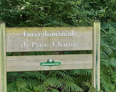 Rando&rsquo; à Chemiré-en-Charnie