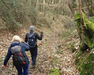Rando&rsquo; dans la Forêt de Bercé